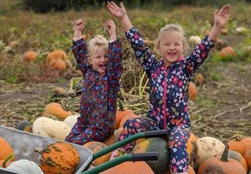 Autumn at Tatton Park Homepage