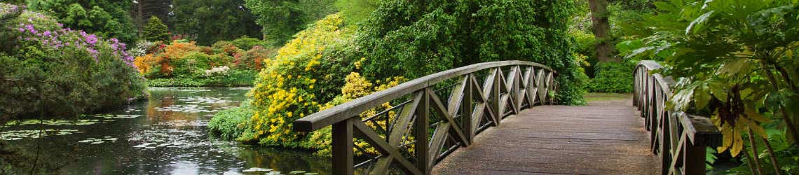 Gardens in Summer at Tatton Park