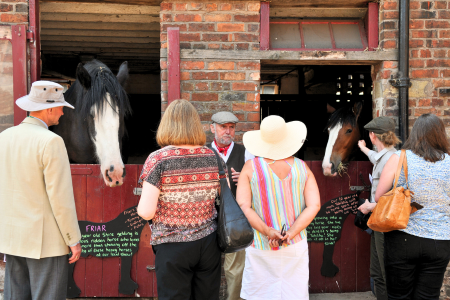 group-farm-tour-horses