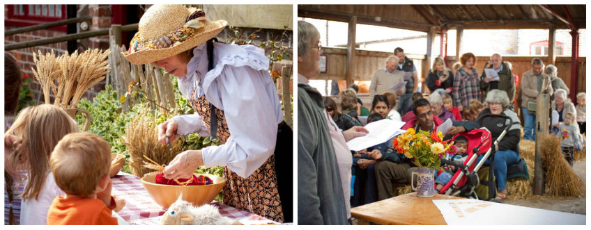 Harvest Festival 2015 collage