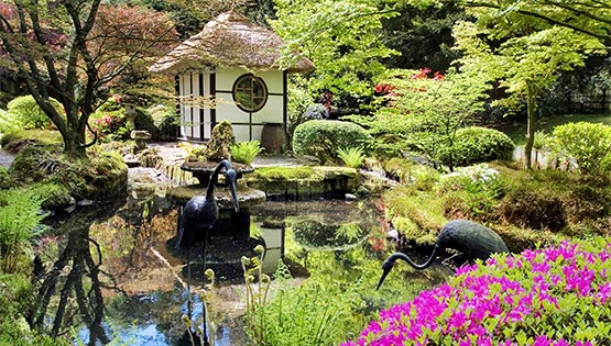 Japanese Gardens at Tatton Park