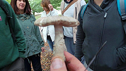Adult education
