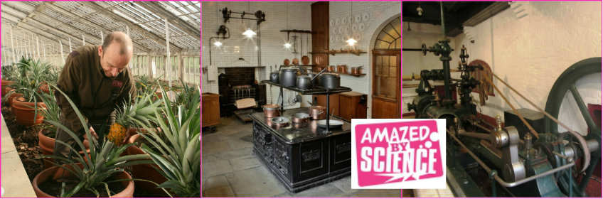 amazed by science collage