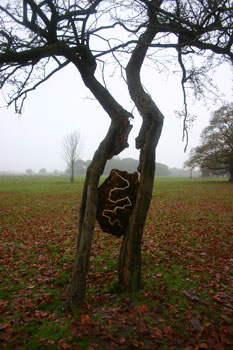 Andy Goldsworthy hawthorn ice leaves