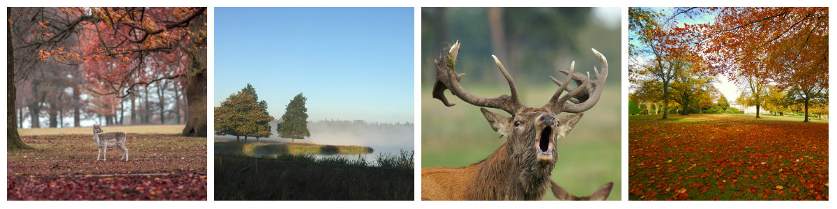 autumn newsletter collage
