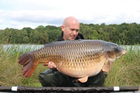 52lb Carp