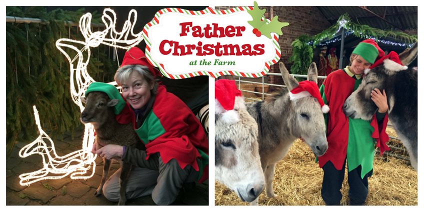 collagefarmxmas