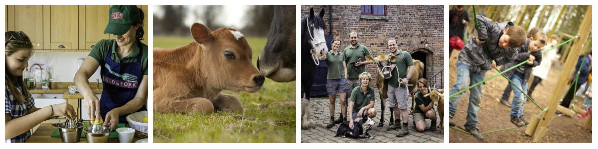 farm homepage collage new