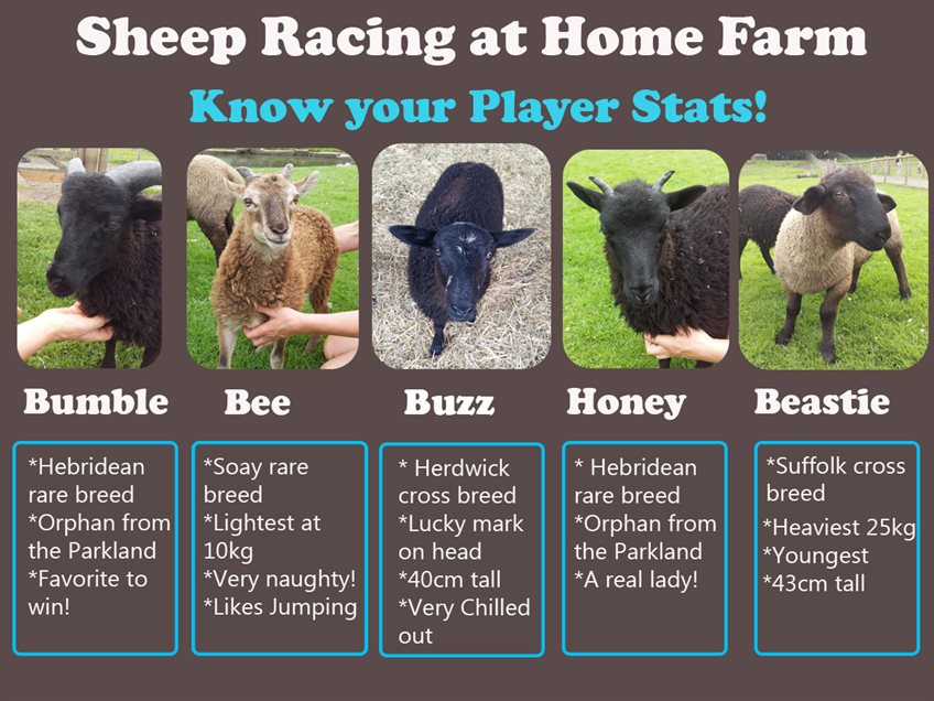 farm-lamb-stats