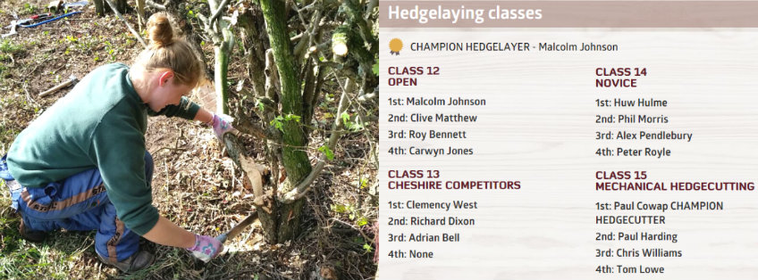 hedge collage