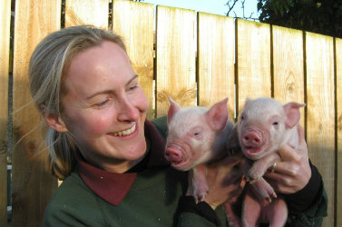 Lisa and piglets