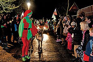 Say hello to Prancer and Dancer at Tatton Park this Christmas