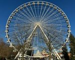 Ride the Giant Observation Wheel