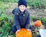 Pumpkin Patch at the Farm