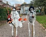 Skellies and Wellies