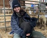 Lambing Week at the Farm (Closed on Monday)