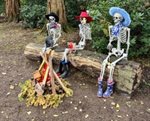 Skellies and Wellies in the Gardens