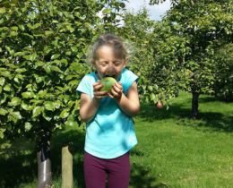 Apple Day *Cancelled*
