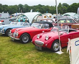 Classic and Performance Car Spectacular
