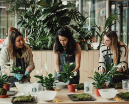 Make A Terrarium Workshop