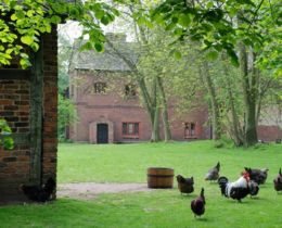 Old Hall Open Days