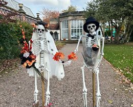 Skellies and Wellies