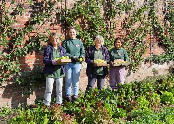 Apple Day Main