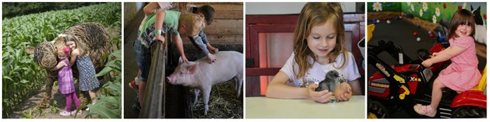 Farm Summer fun for web2