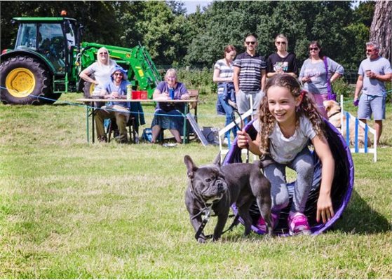Fun dog show 700 x 500