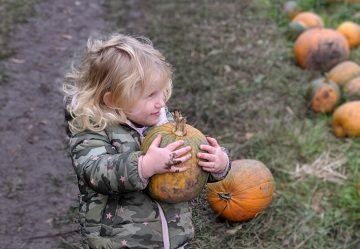 pumpkin homepage 360x250