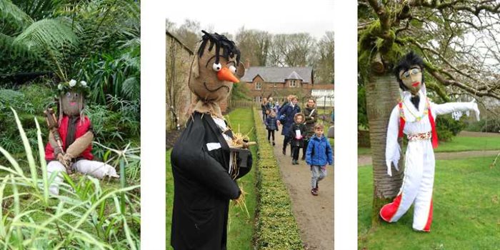 Scarecrow 2023 Collage