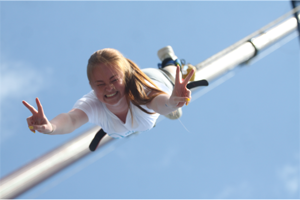Tatton Image Description Bungee