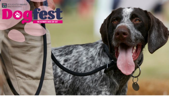 dogfest event pic 700x400