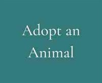 Adopt an Animal Button gree