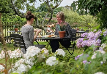 Afternoon tea at the cottage 360x250 (1)