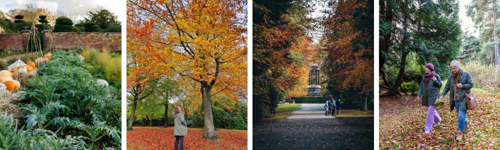 Autumn 2023 Garden Collage