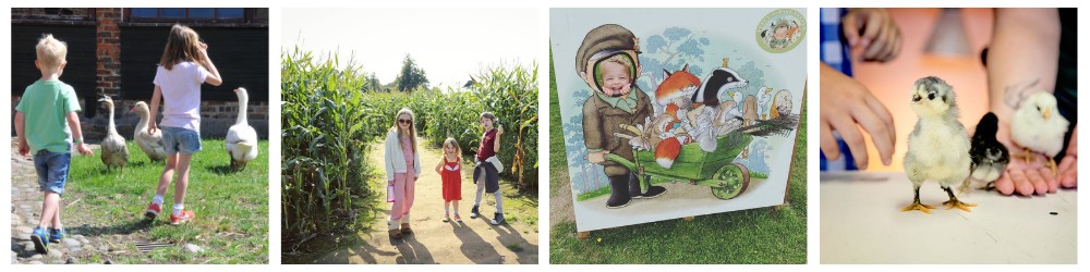 Fun on the farm collage