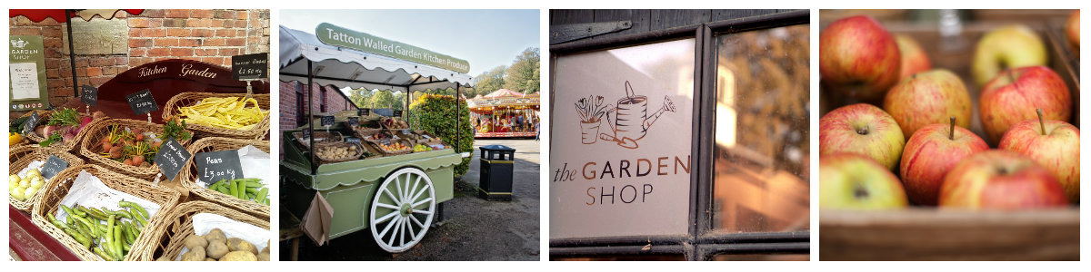 Garden shop produce collage