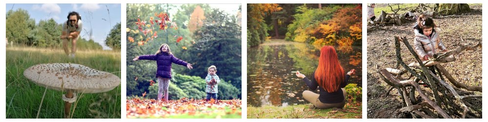 autumn adventures collage