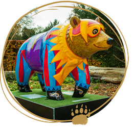 Bear with lines