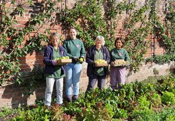 Apple Day Main