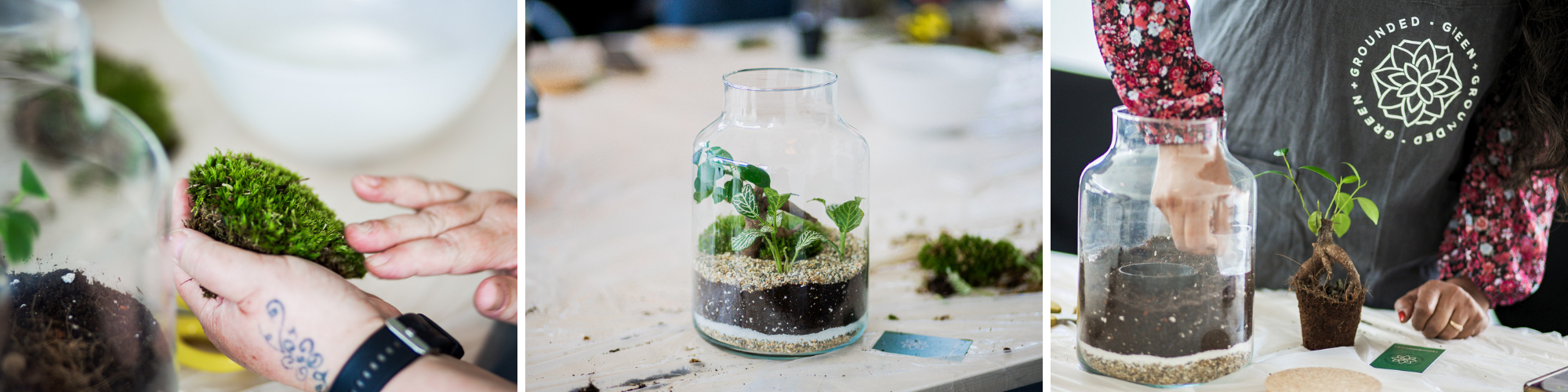 Three images of people building a terrarium in a glass jar.