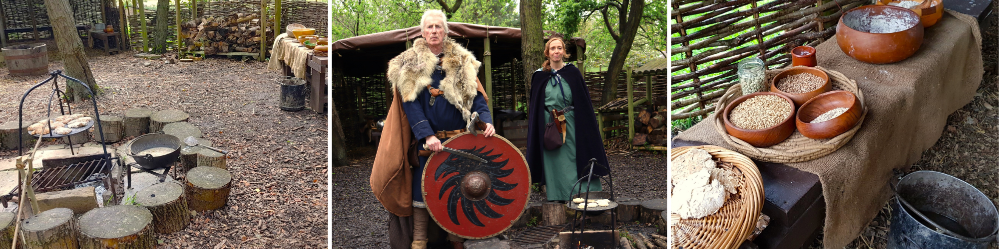 Viking_Life_Collage_2026