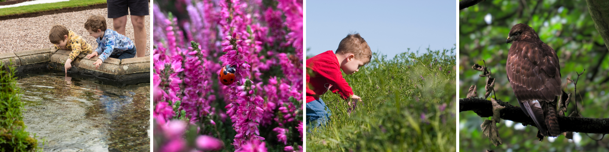 Children explore ponds and fields for wildlife.