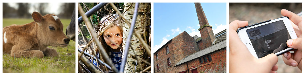 FarmCollage1