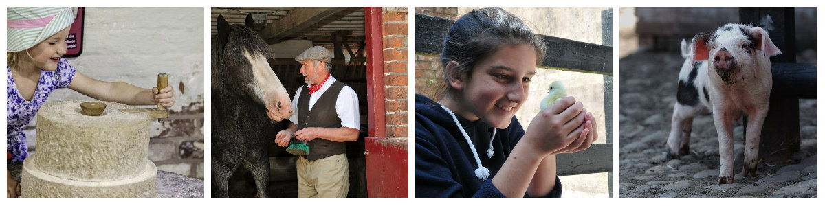 FarmCollage2