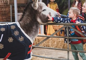 Father Christmas at the Farm