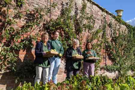 Garden Sustainability