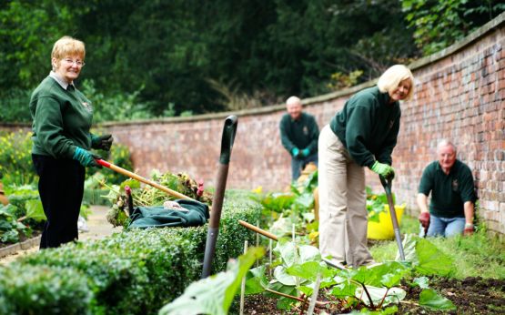 Garden Volunteers 555x346