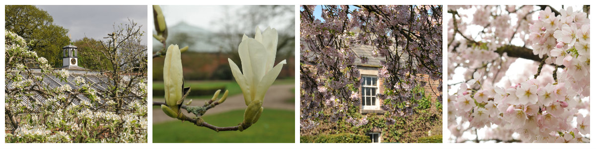 Garden spring collage